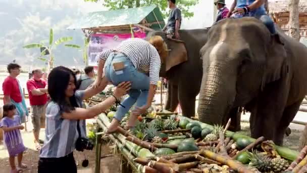 Chiang rae, thailand - 13.03.2019 - Elefantenfest - Mädchen in Streifen klettert auf Elefantenkopf — Stockvideo