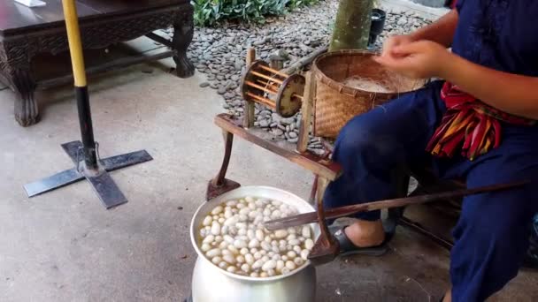 Muž spins hedvábí ze surového hedvábného pytle v horké vodě — Stock video