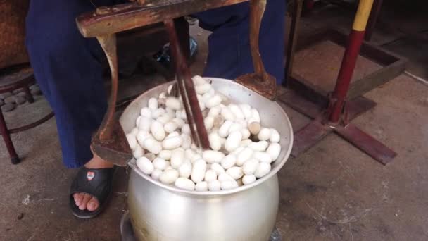 Uomo agita sacchi di uova di seta in acqua calda per separare il cestino — Video Stock