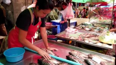 Bangkok, Tayland - 2019-03-17 - Satıcı Market'te Sergilenmek İçin Canlı Tilapia Balıkı Düzenliyor