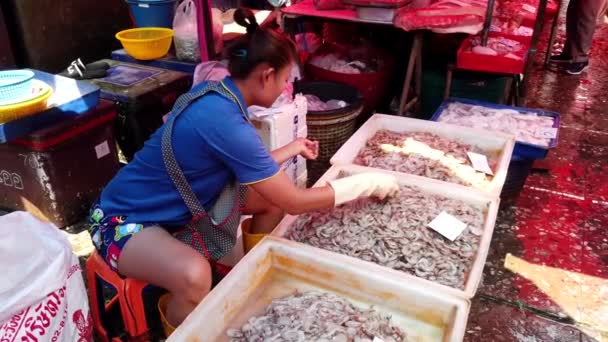 Bangkok, Tailandia - 2019-03-17 - Vendedor de mercado organiza su exhibición de camarones — Vídeos de Stock