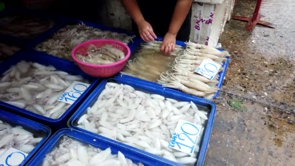 Marché Vendeur empile calmar en préparation pour la vente — Video