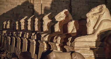 Massive Stone oyma Lions sıra gece Luxor Egypt giriş gaurd