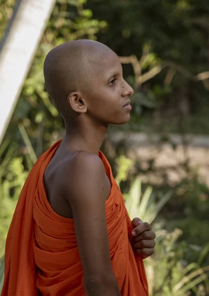 ED-Negombo, Sri Lanka - 2019-03-22 - Lone Young Monk mira hacia la distancia — Foto de Stock