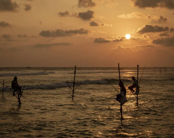 Galle, Sri Lanka - 2019-04-01 - Stilt Fishermen of Sri Lanka Pasa todo el día en pequeñas plataformas para pescar peces para la cena —  Fotos de Stock