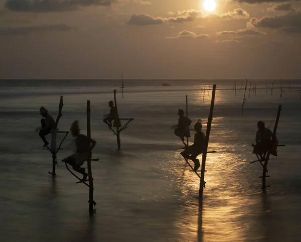 Galle, Sri Lanka - 2019-04-01 - Stilt Fishermen of Sri Lanka Pasa todo el día en pequeñas plataformas para pescar peces para la cena —  Fotos de Stock