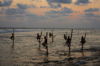 Galle, Sri Lanka-2019-04-01-Sri Lanka stilt balıkçılar akşam yemeği için balık yakalamak için küçük platformlarda tüm gün harcamak