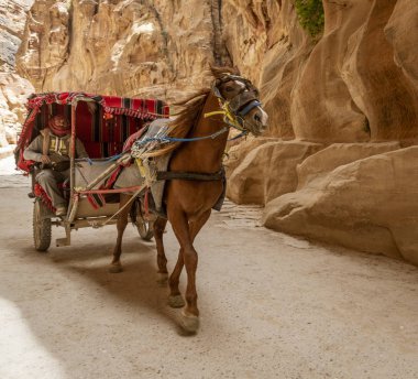 Petra, Ürdün - 2019-04-21 At Arabası Turistleri Hazine Havzasına Getirdi