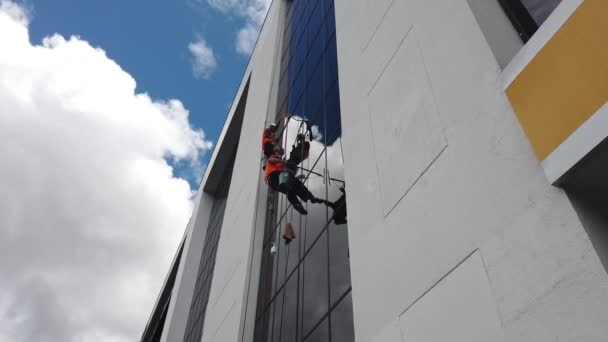 Cuenca, Ecuador - 2019-02-09 - Window Washers Clean Glass Wall of Highrise — стокове відео