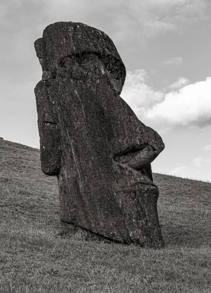 Moai posągi na Wyspie Wielkanocnej w kamieniołomie Rano Raraku — Zdjęcie stockowe