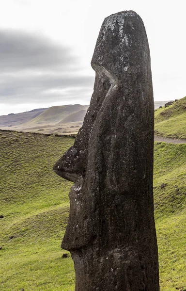 Estatuas de Moai en la Isla de Pascua en la cantera Rano Raraku —  Fotos de Stock