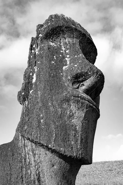 Moai posągi na Wyspie Wielkanocnej w kamieniołomie Rano Raraku — Zdjęcie stockowe