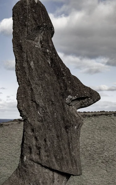 Памятники моаи на острове Пасхи в карьере Рано Рараку — стоковое фото