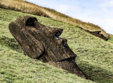 Rano Raraku taş ocağındaki Paskalya Adası 'ndaki Moai Heykelleri