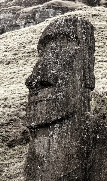 Moai szobrok a Húsvét-szigeten a Rano Raraku kőfejtőnél — Stock Fotó