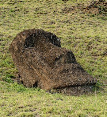 Rano Raraku taş ocağındaki Paskalya Adası 'ndaki Moai Heykelleri