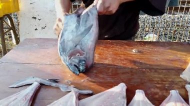 Balıkçı Balıktan Derisi Yüzülmüş Leş 'e Reine Balığını Hazırlıyor