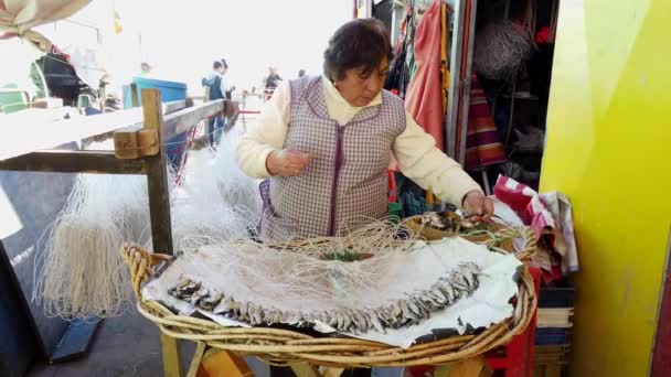 Vina del Mar, Chile - 2019-07-27 - Woman Baits Hooks With Sardines For Next Days Commercial Fishing — 비디오