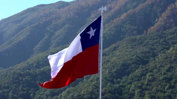 Chilean Flag Flies In Light Breeze Facing Left — 비디오