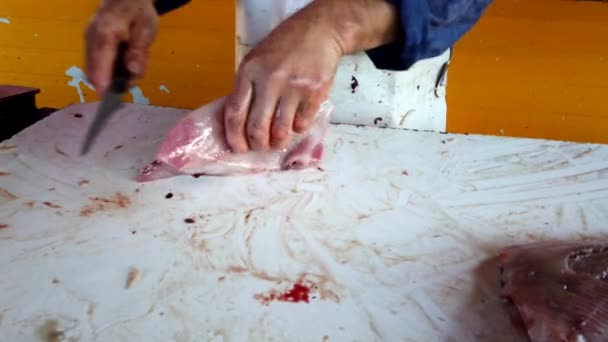 Fiskare förbereder Reine Fish Making Filet från Skinned Carcass — Stockvideo