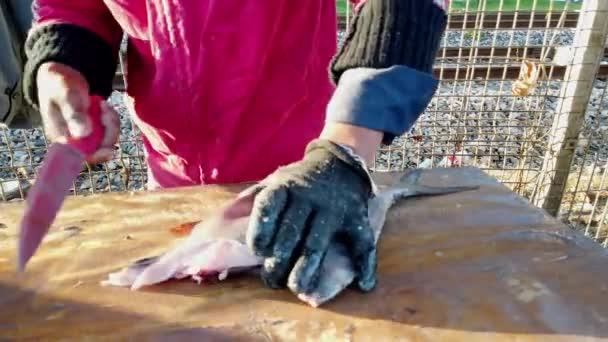 Visser bereidt Reine Fish nemen van karkas naar de wc — Stockvideo