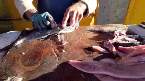 Ο ψαράς προετοιμάζει τα ψάρια Reine από τα ωμά ψάρια στο τελικό φιλέτο — Αρχείο Βίντεο
