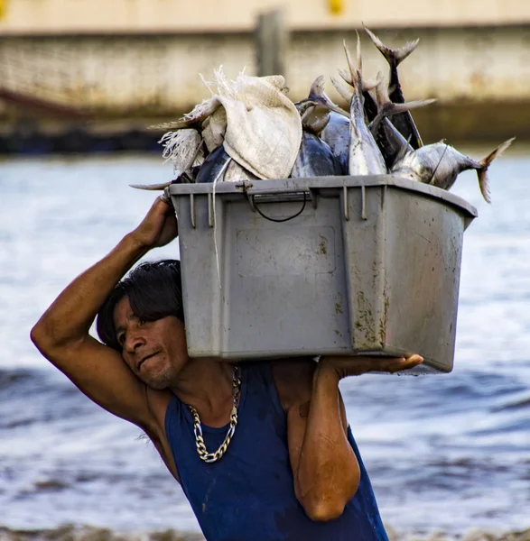 Puerto Lopez, Ecuador - 19. August 2016: Mann trägt Fischbehälter vom Boot den Strand hinauf zu den wartenden Verarbeitungsfahrzeugen — Stockfoto