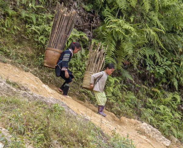 Kuzey Vietnamlı çocuklar dik bir tepeden aşağı sepet dolusu sopa taşıyorlar.