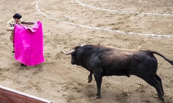 Ambato, ecuador - 15. Februar 2015 - Stierkämpfer zu Fuß im Duell mit Stier — Stockfoto