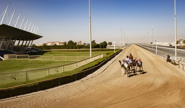 Los camellos se pueden ver venir en la distancia a medida que giran la curva en la pista de carreras de camellos — Foto de Stock