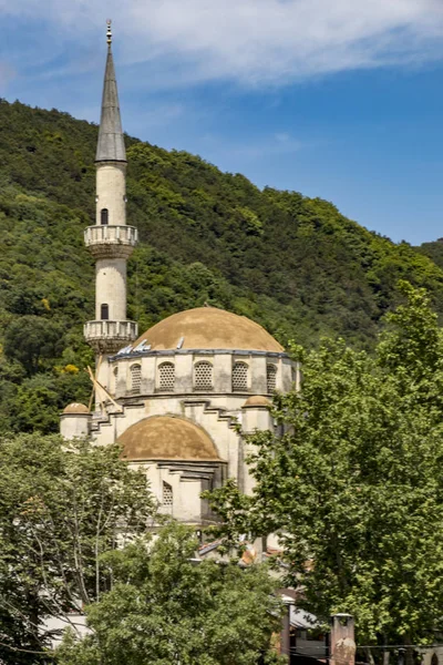 Türkiye 'nin İstanbul kentindeki cami — Stok fotoğraf