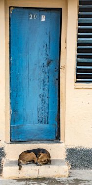 Köpek mavi kapının üstündeki verandada oturuyor ve pencereyi kapatıyor. Kapıdaki işaret Küba nüfus sayımının tamamlandığını gösteriyor.