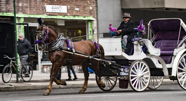 Caballo y buggy conducir por la calle Nueva York sin ningún pasajero — Foto de Stock