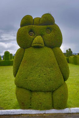 Ekvador 'un kuzeyindeki Tulum mezarlığında egzotik ot ağacı oluşturuldu.