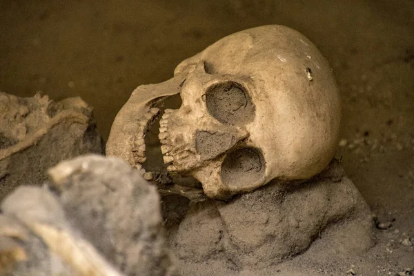 Skulls and bones found entombed in lava