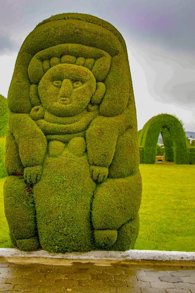 Exotic topiary created in Tulum cemetary in the North of Ecuador — Stock Photo, Image
