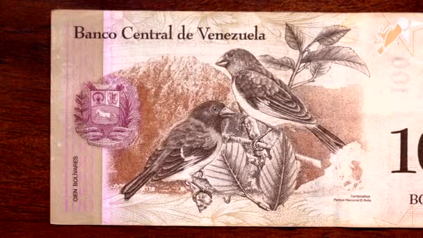 Valuta Scan Top Venezuela 100 tillbaka — Stockvideo