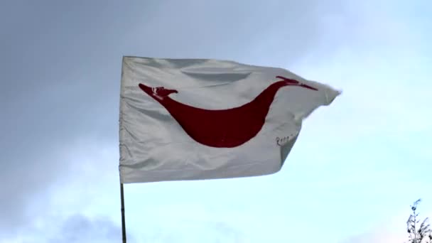 Rapi Nui Nativo Isla de Pascua Bandera ondeando en el viento Cerrar tiro — Vídeos de Stock