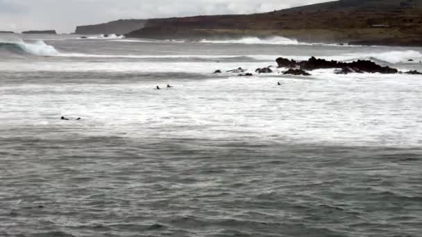 Surfistas nadan hacia el mar contra las olas y pierden terreno — Vídeos de Stock
