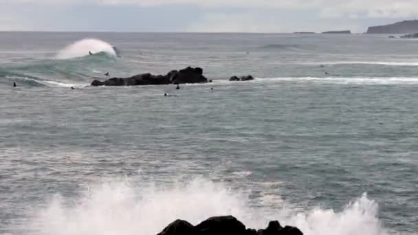 Σέρφερς κολυμπούν έξω στη θάλασσα ενάντια στα κύματα — Αρχείο Βίντεο