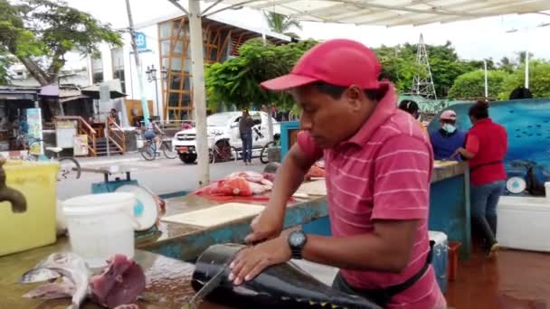 Галапагосские острова, Эквадор - 2019-06-20 - Fish Seller Cuts Steak From Dorado — стоковое видео