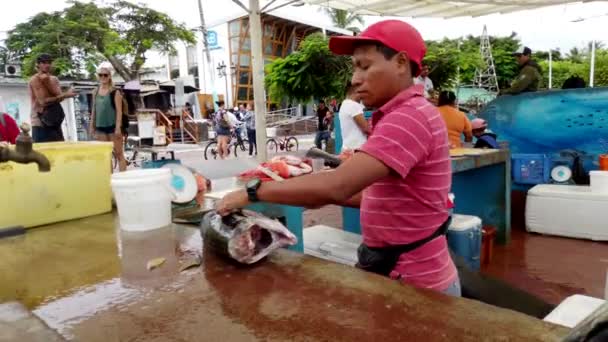 Galapagos, Ecuador - 2019-06-20 - Fish Seller Trims Dorado — 비디오