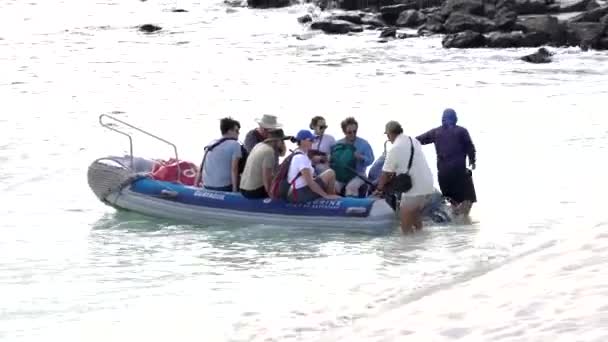 Галапагосские острова, Эквадор - 2019-06-20 - Туристический десантный катер прибывает на пляж — стоковое видео