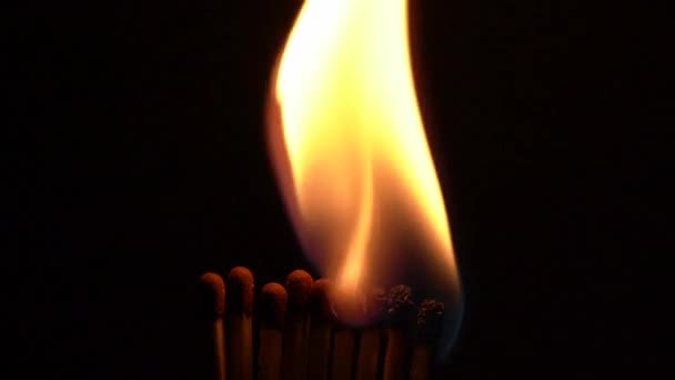 Match Sticks Catching Flame - Εννέα Stick αργή κίνηση — Αρχείο Βίντεο