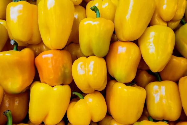 Yellow bell peppers in a pile ready for sale — Stock Photo, Image