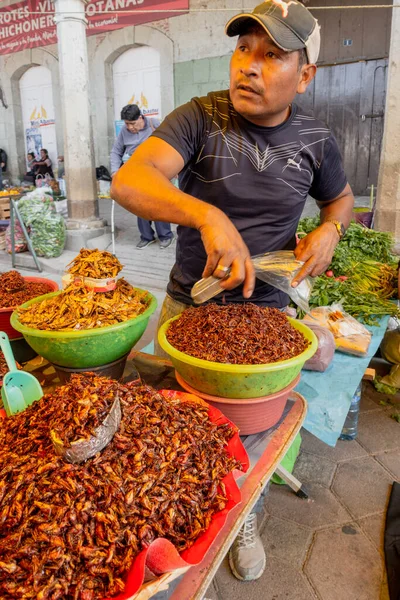 Oaxaca, Mexiko - 2019-11-16 - Man säljer torkade gräshoppor för att äta eller krydda mat — Stockfoto