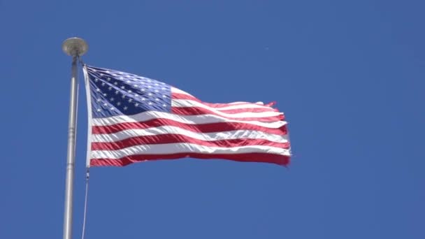 Tattered American Flag Waves in Breeze — Stock Video