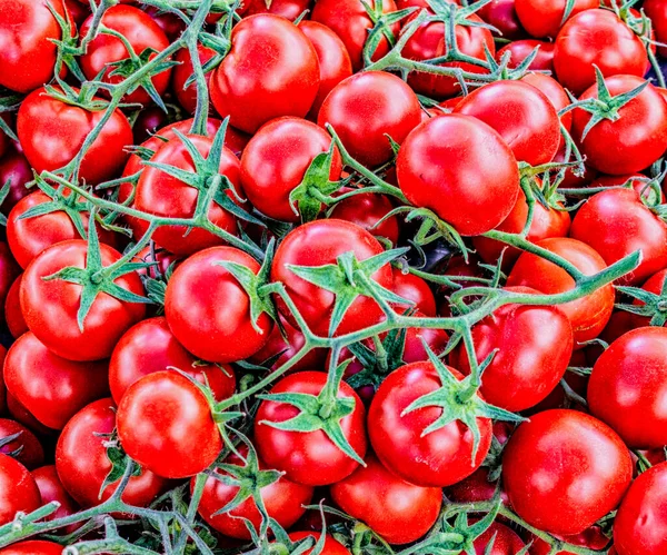 ブドウの販売のためのトマト — ストック写真