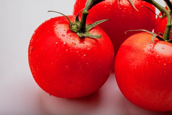 Мокрі помідори на лозі — стокове фото