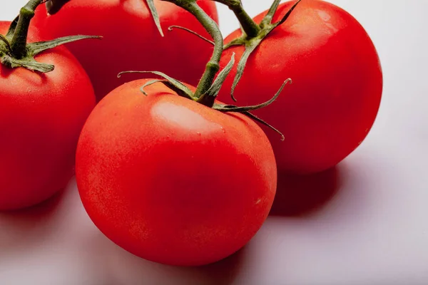 Tomates molhados na videira — Fotografia de Stock